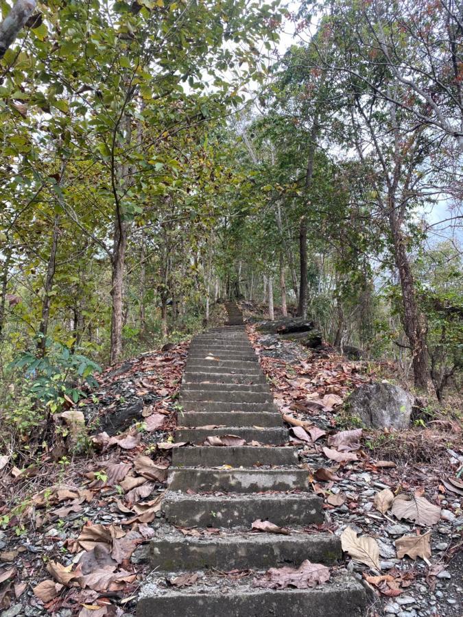 Live In Nature Darjeeling  Ngoại thất bức ảnh